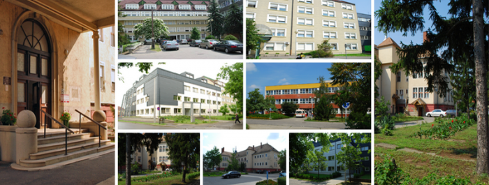 Intézményi névváltozás